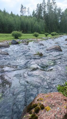 Orup�hja K�mpingud Ja Telkimisala