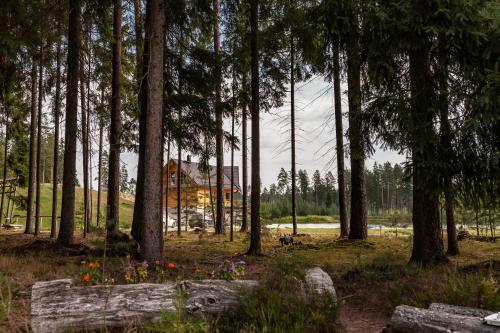 Metsj�rve K�mpingumajake