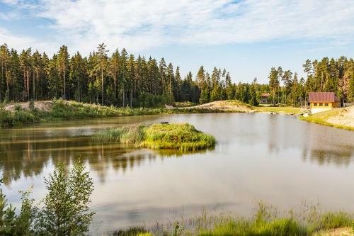 Metsj�rve K�mpingumajake