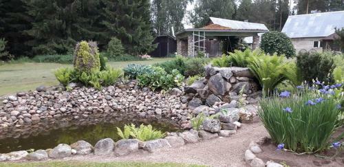 Metsj�rve K�mpingumajake
