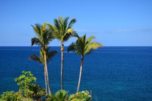 Apartamento Relax Tropical Las Americas - Tenesol Rentals