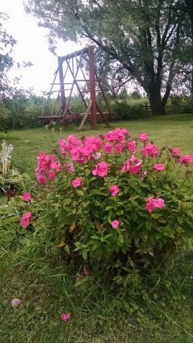 Agroturismo Treimani Summer House
