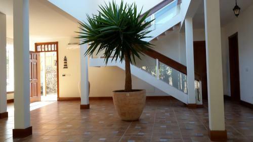 Luxury Villa Playa De Las Americas First Line
