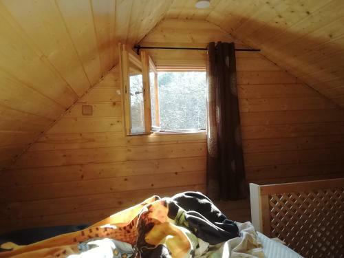 Lodge Ainja Puhkemaja