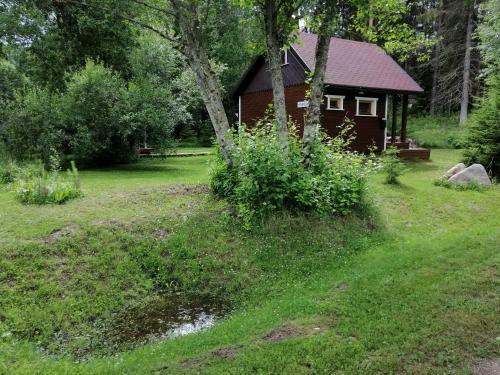 Lodge Ainja Puhkemaja