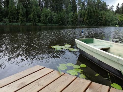 Lodge Ainja Puhkemaja
