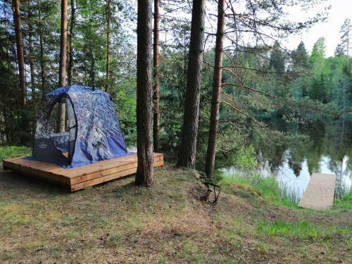 Lodge Ainja Puhkemaja