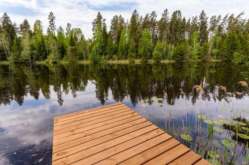 Lodge Ainja Puhkemaja
