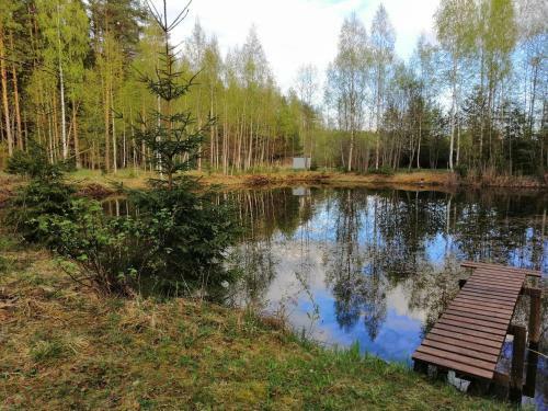 Lodge Ainja Puhkemaja