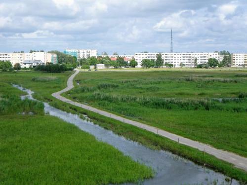 Apartamento Ruudu K�laliskorter
