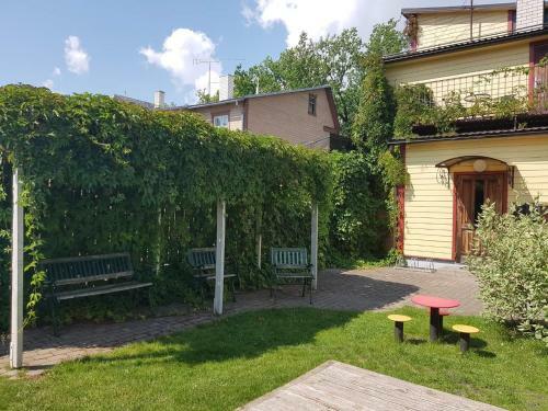 Apartamento Ringi Studio