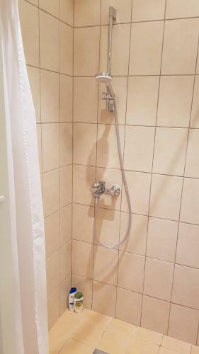 Apartamento Ringi Studio