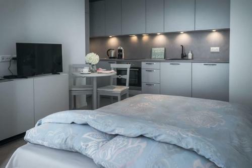 Kalamehe Modern Apartment 2 Near City Center