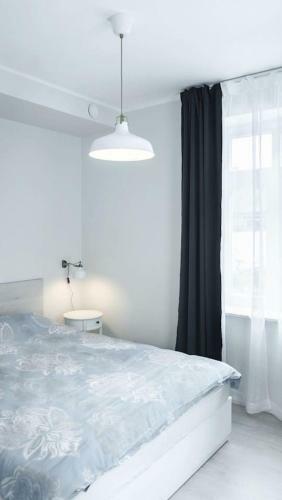 Kalamehe Modern Apartment 2 Near City Center