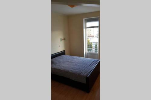 P�rnu River And Central City View Apartment