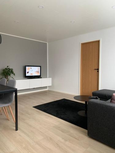 Apartment Riia Mnt 88