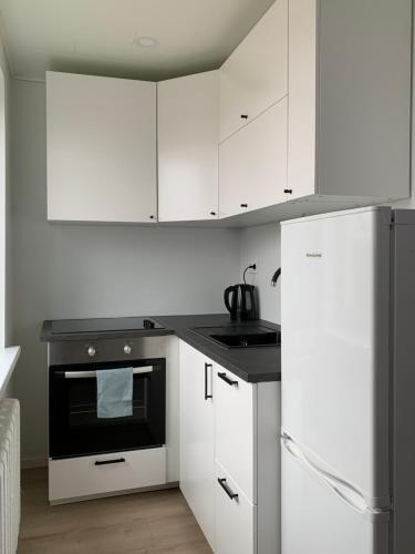 Apartment Riia Mnt 88
