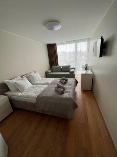 Hostal Aisa 39, Kaheinimesetuba