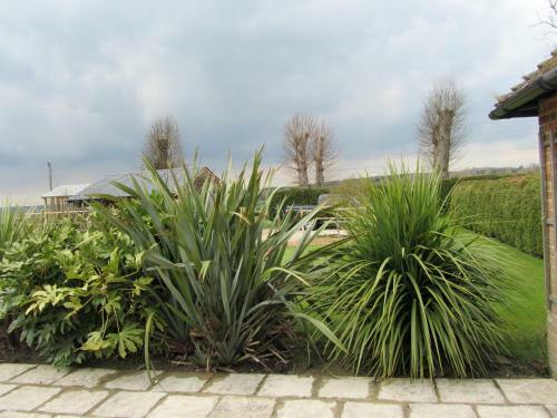 Hostal Wartling Place Country House