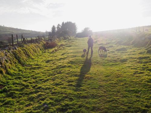 Higher Clamland