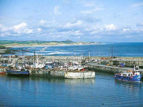 Harbour Heights