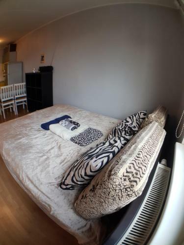 Pirita River View Apartment New