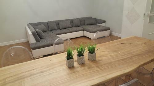 Modern History Apartment