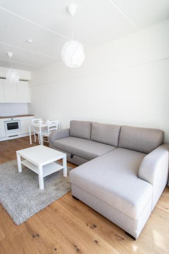 Nordic-style 1br Apartment With Tremendous Terrace