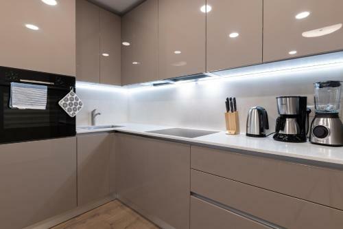 Apartamento Central Lootsi Penthouse