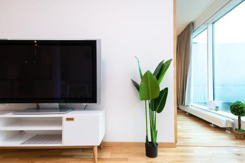 Central Cozy Apartment With Parking