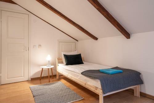 Old Town - Vana Viru Apartment