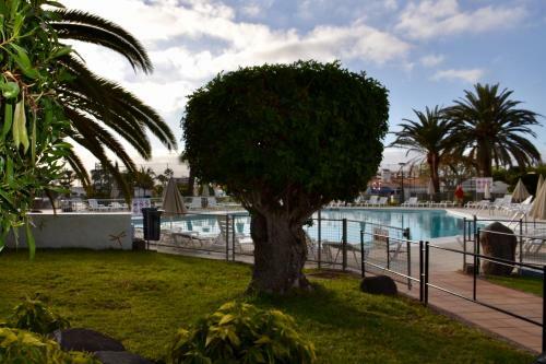 Bungalow En Playa Del Ingles