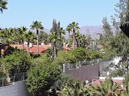 Apartamento Avenida Tirajana N�3