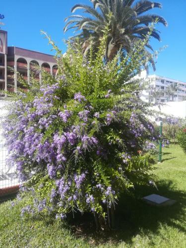 Apartamento Teror Playa