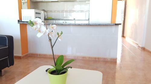Apartamento Alejandro Molinos