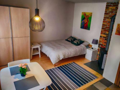 Cozy Apartment Near Kalamaja
