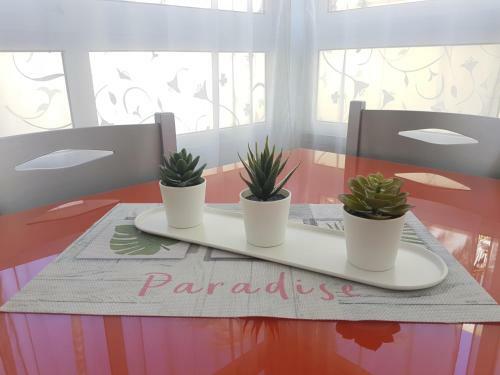 Apartment Pitaya