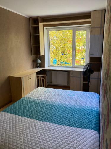 Apartamento Find For The Traveler