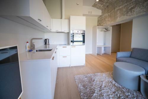 Baltic Accommodation - Urban Style Apartment