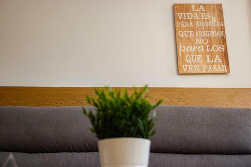 Coral Friendly Apartment