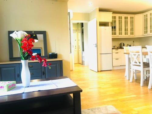 Cozy City Penthouse Apartment, Free Parking