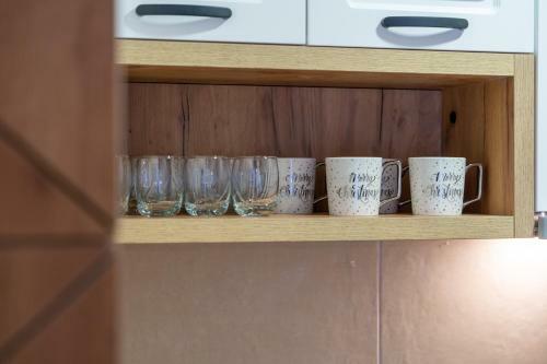 Apartman Mitic, Zlatibor