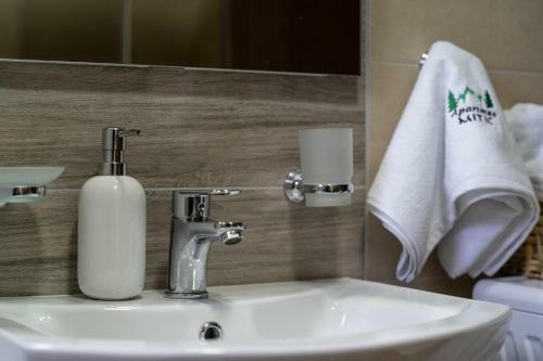 Apartman Mitic, Zlatibor