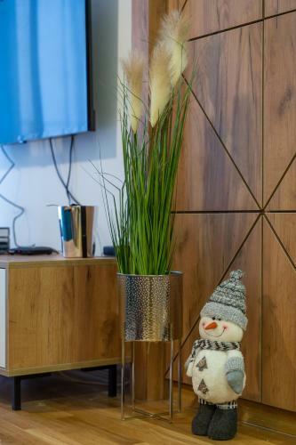Apartman Mitic, Zlatibor