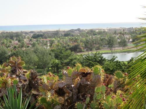Apartamento Villa In Duna Golf