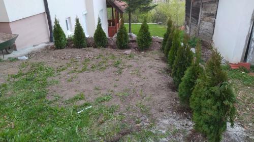 Apartman Jokovic Zlatibor