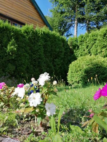 Apartman Zlatibor