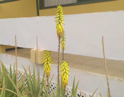 Apartamento Caroni