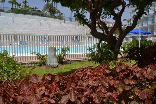 Apartamento Red Loft Deluxe- Centrale A Playa Del Ingl�s