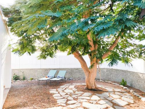 Pretty Terrace House In Maspalomas